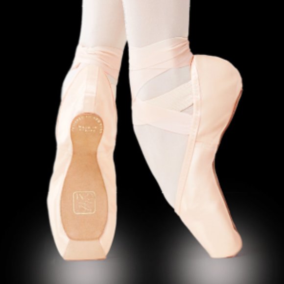 Gaynor Minden Sculpted Supple Pointe Shoes - US Made - Authentic - Picture 2 of 6